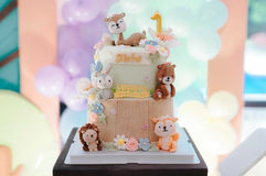 Birthday Photo and Video Services