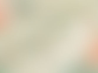 Wedding Photography Only Package