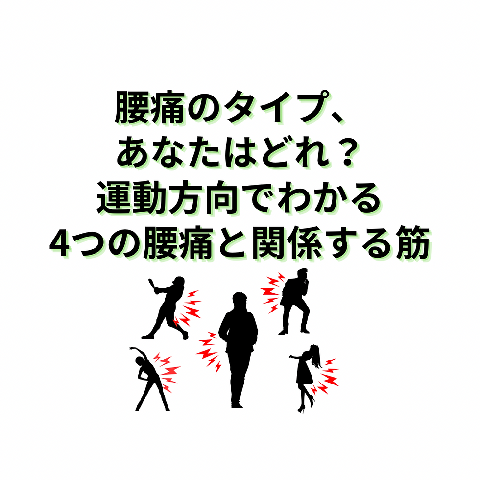 腰痛のタイプ、あなたはどれ?運動方向でわかる4つの腰痛と関係する筋肉
