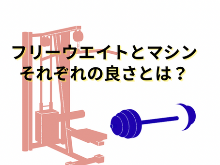 フリーウエイトとマシンそれぞれの良さとは？