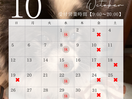 10月の予定