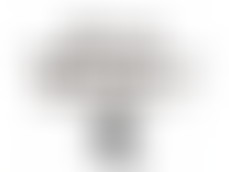 筋トレは「毎日すればいい」ものではない?