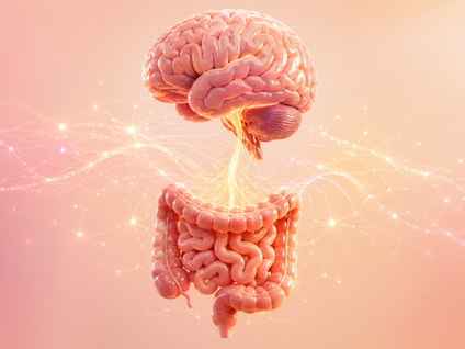 🧠 Cérebro e intestino conversam o tempo todo