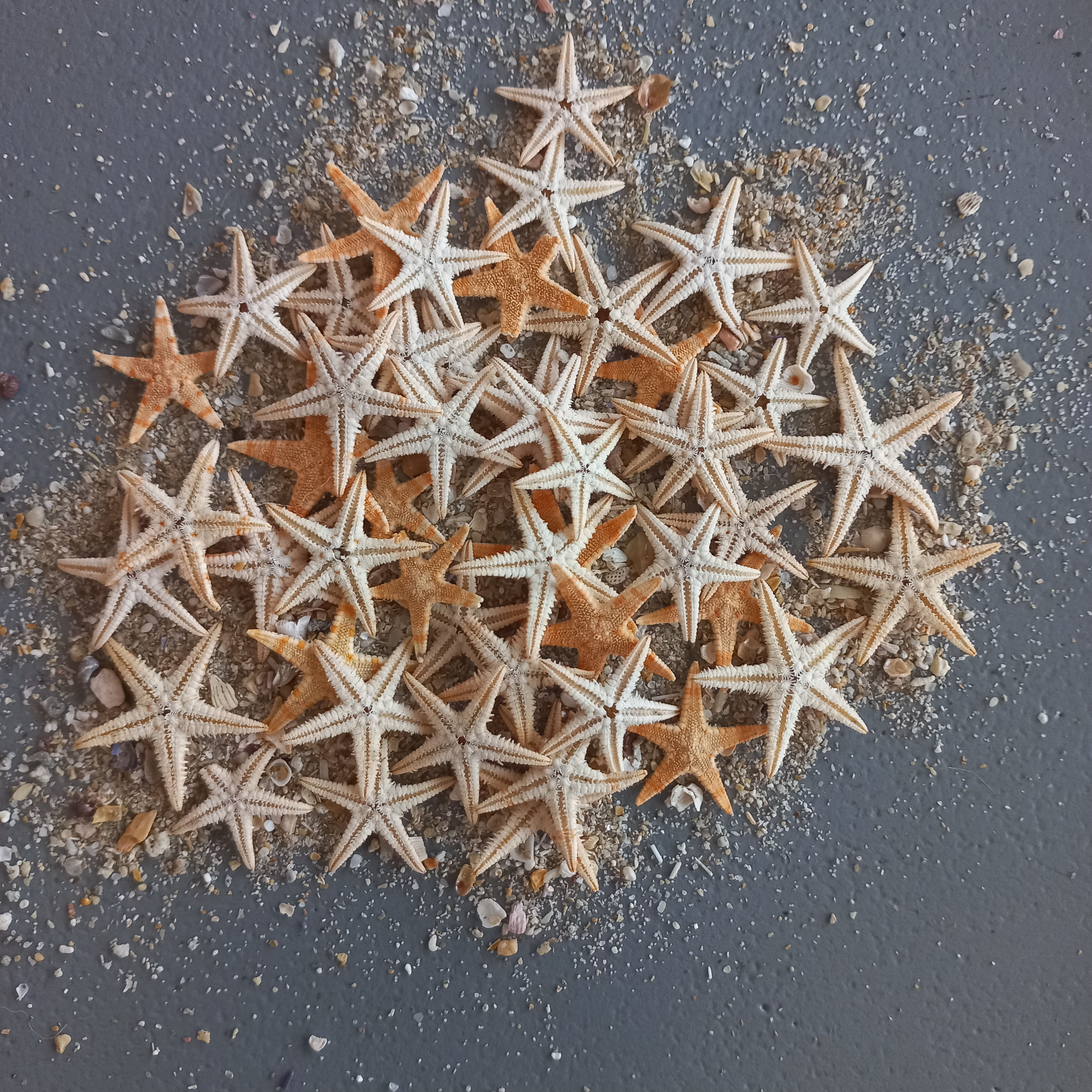 +- 40 PIECES STARFISH DECORATION 1-2 CM