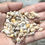 Thumbnail: PKT 70 MINI SEASHELLS