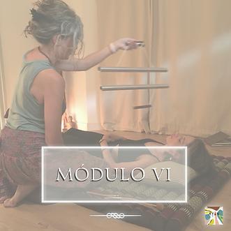 FST portada 3Q24 modulos.006.png