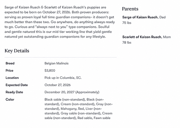 malinois_Breeder_Sale_quality_Protection_Family_SAR_Work_Sports_Bite_K9.png