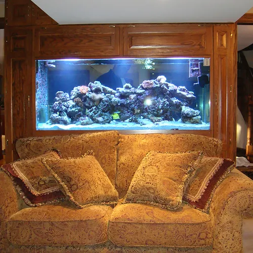 Aquarium Installation Toronto Ltaquariums