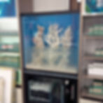 Custom Aquarium with Coral Decor