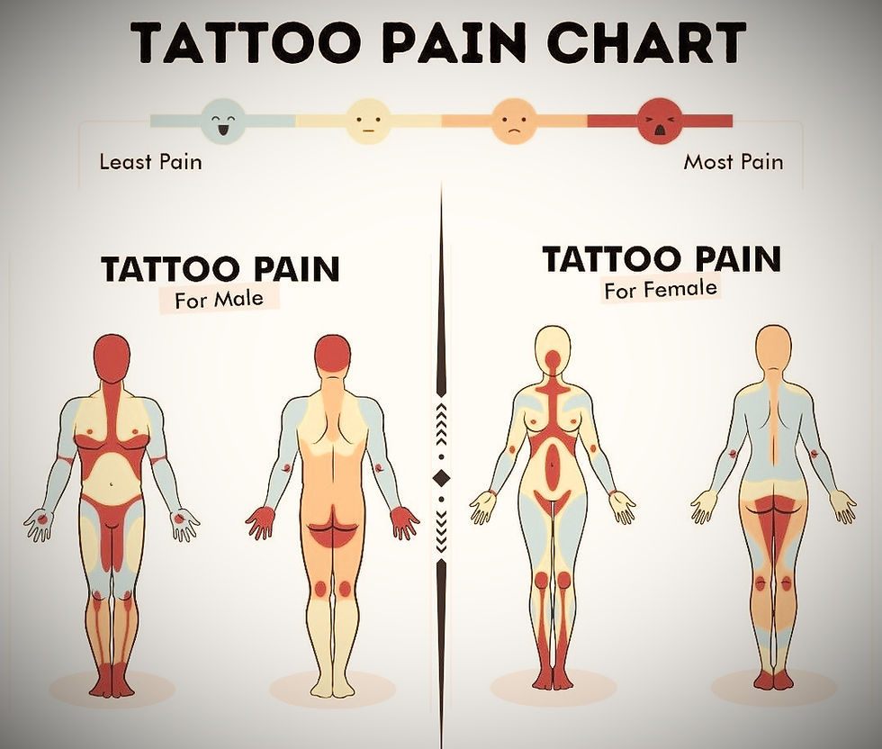 Tattoo pain chart for male and female. Includes color-coded body diagrams showing various pain levels from least to most.
