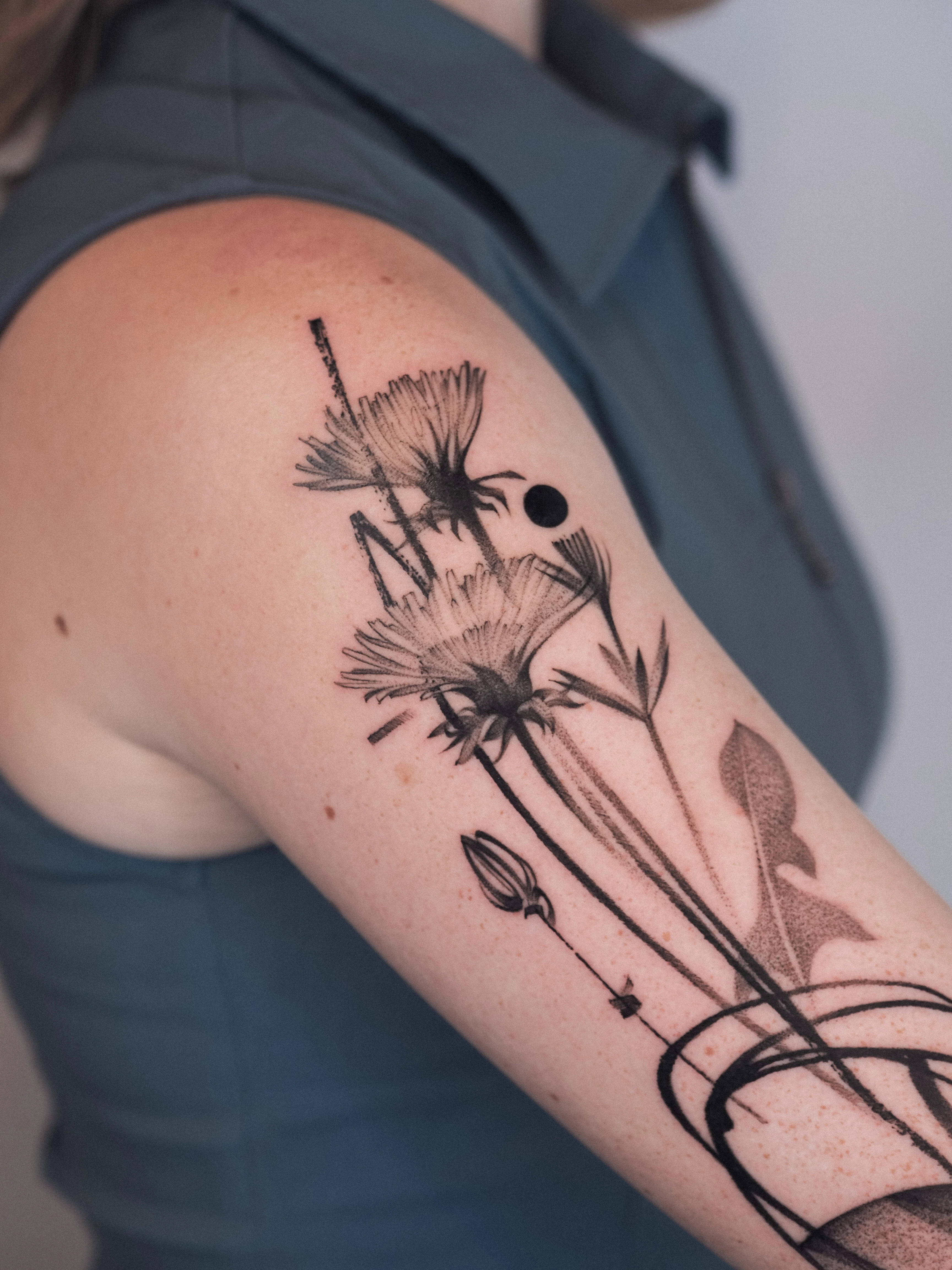 A fine line upper arm and shoulder tattoo showing detailed dandelion seed heads with custom geometric line overlays and a solid black dot accent.