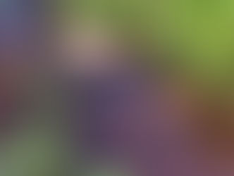 ವಿಟ್ಲದಲ್ಲಿ ವ್ಯಕ್ತಿಯ ಮೃತದೇಹ ಪತ್ತೆ: ಪೊಲೀಸರಿಂದ ತನಿಖೆ ಆರಂಭ