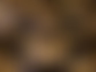 ಮತ್ತೆ ಗಗನಕ್ಕೇರಿದ ಚಿನ್ನದ ದರ