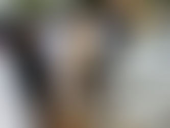 ಪುತ್ತೂರಿನಲ್ಲಿ ಭೀಕರ ಸರಣಿ ಅಪಘಾತ: ಸ್ವಿಫ್ಟ್, ಆಟೋ ಮತ್ತು ಲಾರಿ ಡಿಕ್ಕಿ; ಇಬ್ಬರಿಗೆ ಗಂಭೀರ ಗಾಯ