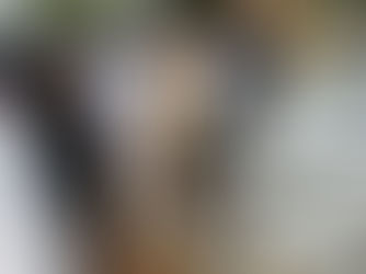 ಪುತ್ತೂರಿನಲ್ಲಿ ಭೀಕರ ಸರಣಿ ಅಪಘಾತ: ಸ್ವಿಫ್ಟ್, ಆಟೋ ಮತ್ತು ಲಾರಿ ಡಿಕ್ಕಿ; ಇಬ್ಬರಿಗೆ ಗಂಭೀರ ಗಾಯ