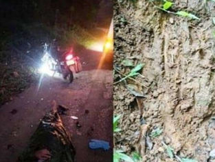 ಪಂಜ : ಕಾಡುಪ್ರಾಣಿ ಡಿಕ್ಕಿ: ಕುಕ್ಕೆ ಮಠದ ಅರ್ಚಕ ಗಂಭೀರ, ಆಸ್ಪತ್ರೆಗೆ ದಾಖಲು