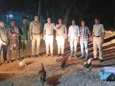 ಬಜತ್ತೂರು: ಅನಧಿಕೃತ ಕೋಳಿ ಅಂಕದ ಮೇಲೆ ಪೊಲೀಸ್ ದಾಳಿ; ಮೂವರ ಬಂಧನ