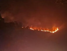 ಚಾರ್ಮಾಡಿ ಘಾಟಿಯ ಮಲಯ ಮಾರುತ ಅರಣ್ಯದಲ್ಲಿ ಭೀಕರ ಕಾಡ್ಗಿಚ್ಚು: ವನ್ಯಸಂಪತ್ತು ಭಸ್ಮ!