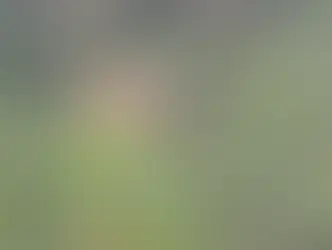 ಕಡಬ: ಕಾಡಾನೆ ಭೀತಿಯಲ್ಲಿ ಗ್ರಾಮಸ್ಥರು