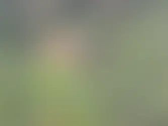 ಕಡಬ: ಕಾಡಾನೆ ಭೀತಿಯಲ್ಲಿ ಗ್ರಾಮಸ್ಥರು