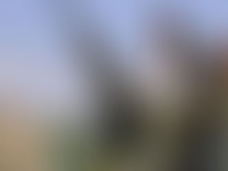 ಪಾಕಿಸ್ತಾನಿ ವಿಮಾನಗಳ ಮೇಲೆ ಅಫ್ಘಾನ್ ಪಡೆಗಳಿಂದ ದಾಳಿ: ಗಡಿಯಲ್ಲಿ ಹೆಚ್ಚಿದ ಉದ್ವಿಗ್ನತೆ