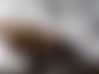 ಉಪ್ಪಿನಂಗಡಿ: ಕೀಟನಾಶಕ ಸೇವಿಸಿ 10ನೇ ತರಗತಿ ವಿದ್ಯಾರ್ಥಿನಿ ಆತ್ಮಹತ್ಯೆ