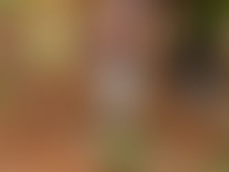 ಯೂರಿಯಾ ಖರೀದಿಗೆ ರೈತ ಗುರುತಿನ ಚೀಟಿ ಕಡ್ಡಾಯ