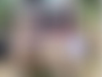 ಉಪ್ಪಿನಂಗಡಿ: ಅಕ್ರಮ ಮರ ಸಾಗಾಟ ಪತ್ತೆ; ಲಾರಿ ಸಮೇತ ಚಾಲಕನ ಬಂಧನ