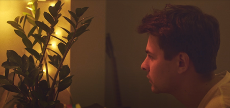 WB_PLANT_NOAH.png