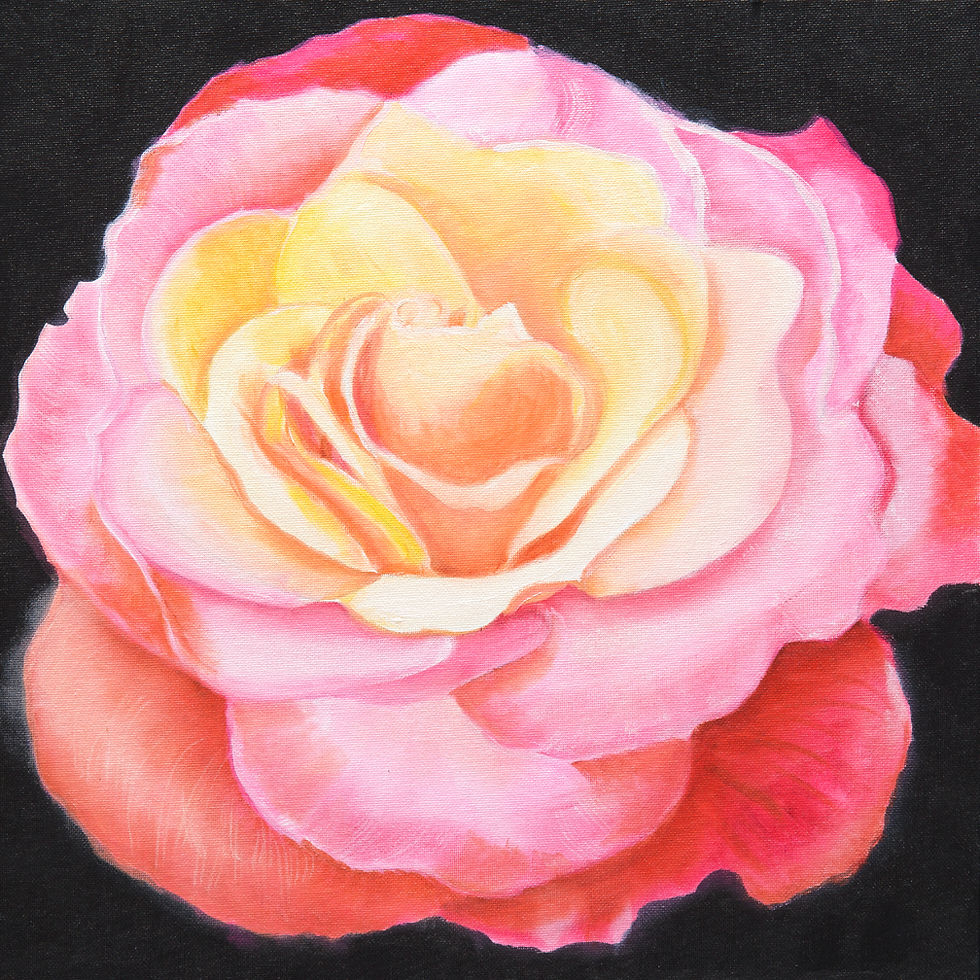 Yellow Red Rose