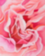 Lisianthus