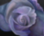 Black Rose