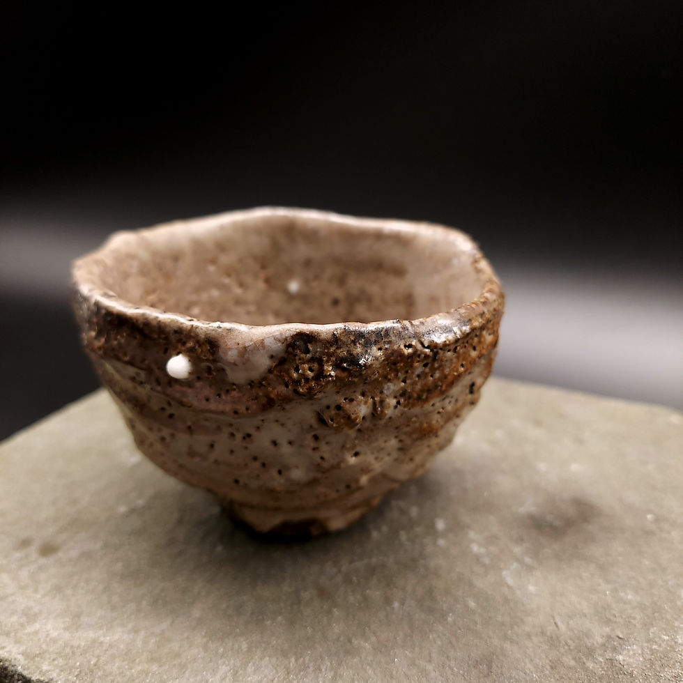 Thumbnail: Salt and Ash Shino Guinomi / Sipper