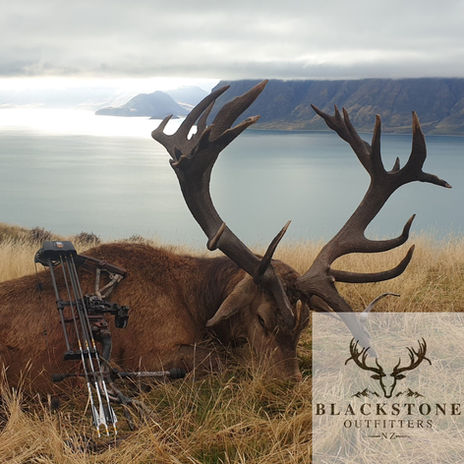 Otago hunting, guided hunting, otago outfitters, NZ hunting experience, authentic hunting experience