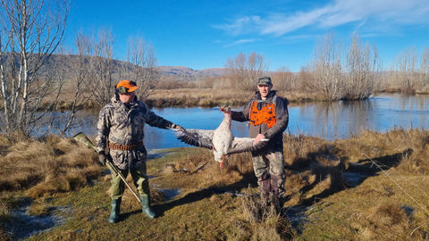 Otago hunting, guided hunting, otago outfitters, NZ hunting experience, authentic hunting experience