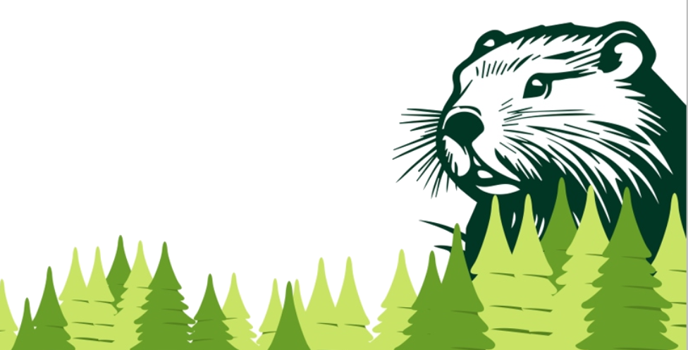 Biber mit Wald im Teilhintergrund.png