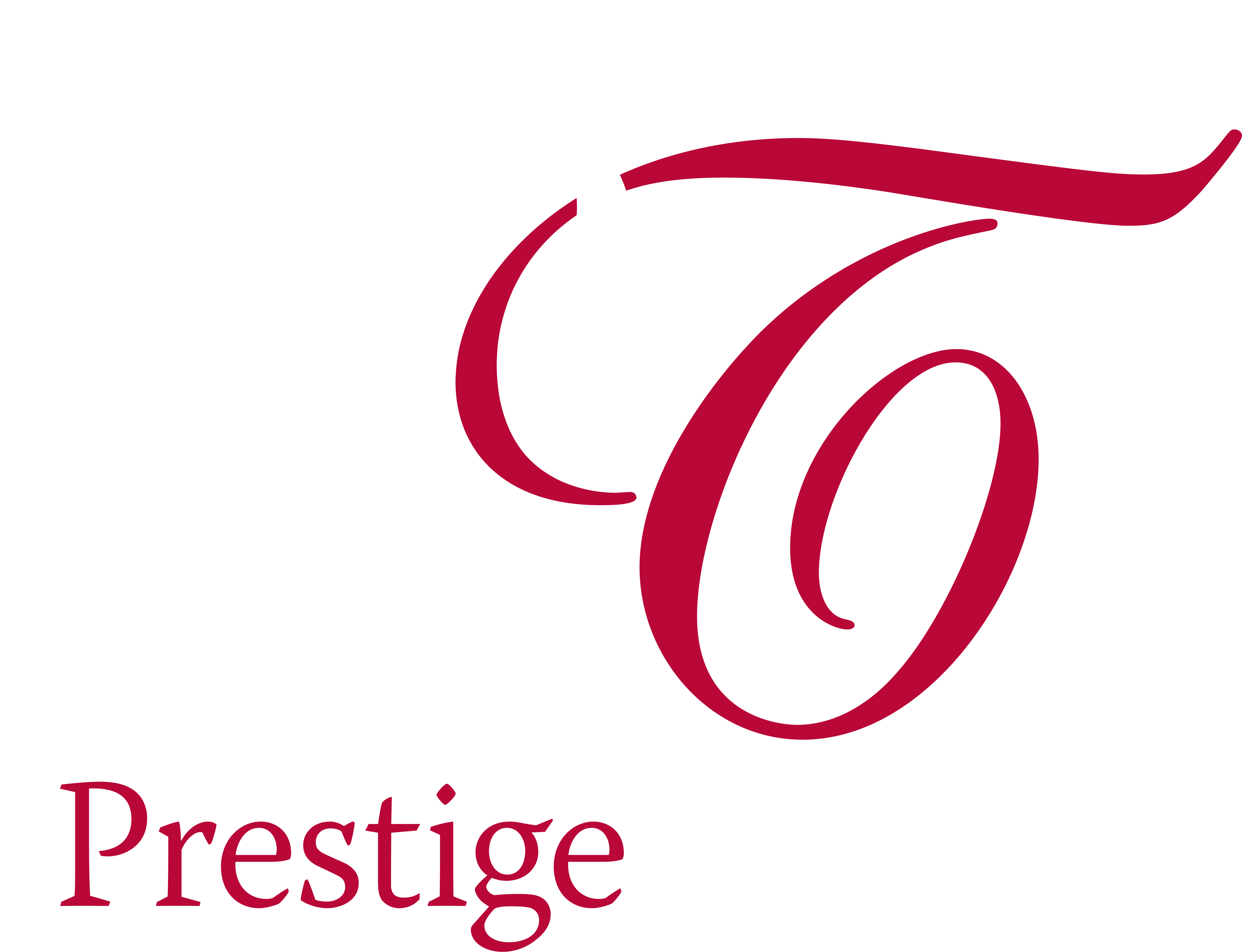 PT-Logo Webseite weiss.png