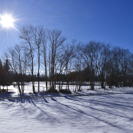 Oh, the weather outside is frightful...but, being a Warrior is still delightful!