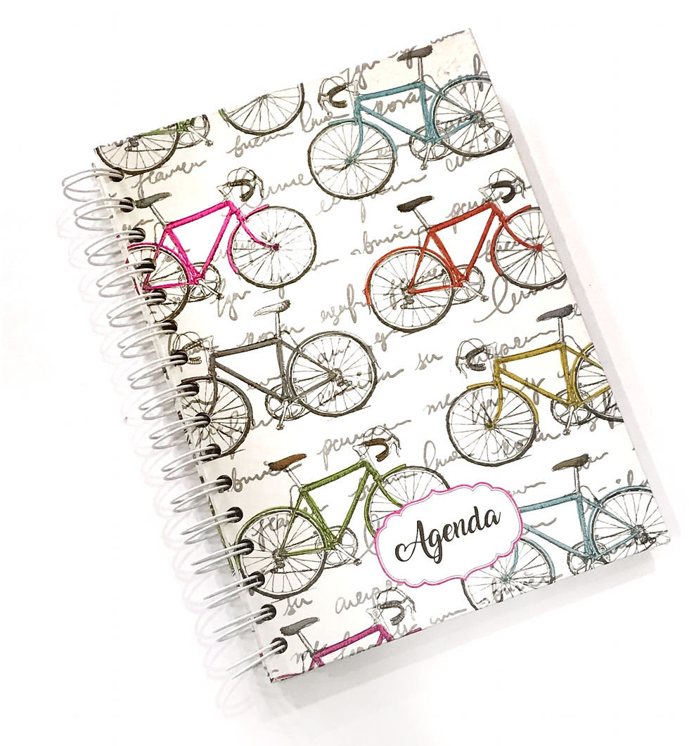 Miniatura: AGENDA PERPETUA