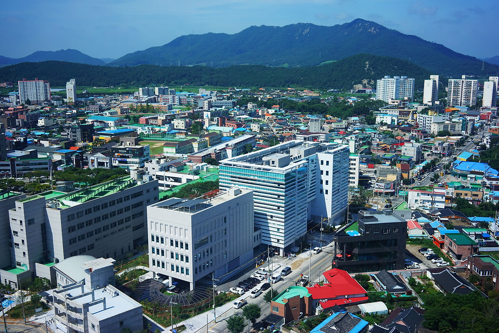 항공사진 (35).JPG