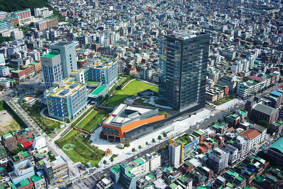 항공사진 (14).JPG