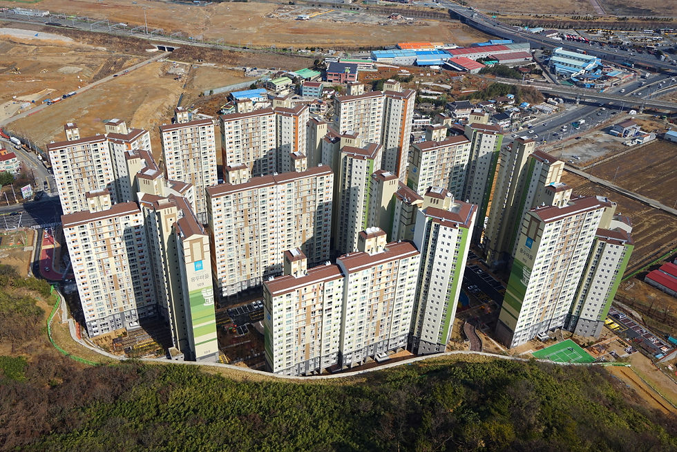 항공사진 (13).JPG