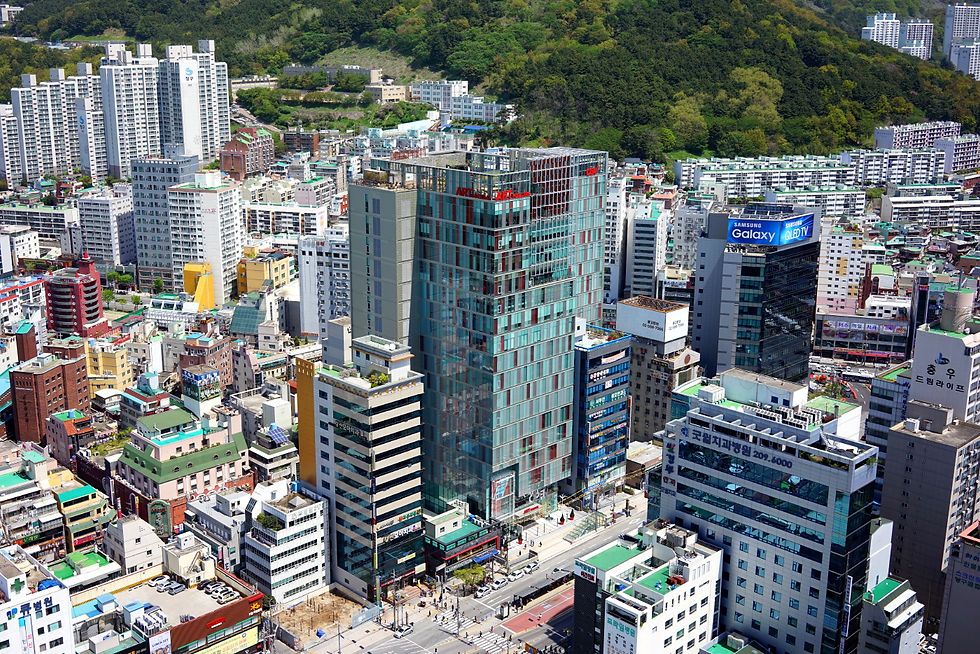 항공사진 (2).JPG