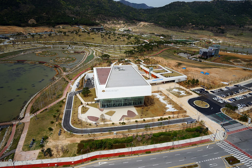 항공사진 (17).JPG