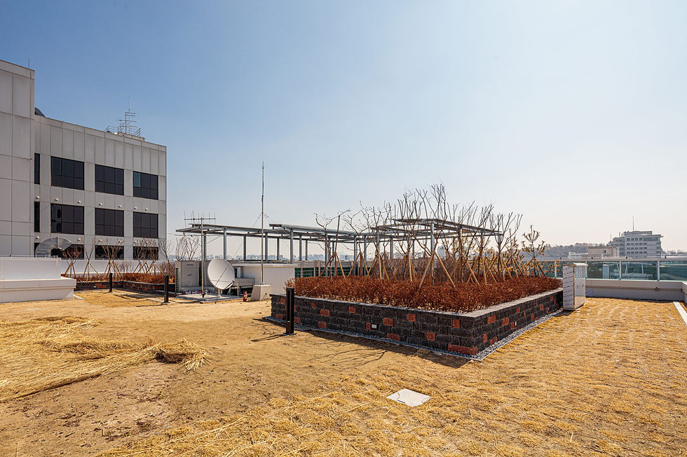 옥상정원 (2).jpg