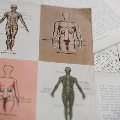 medical diagrams 2MB.jpg