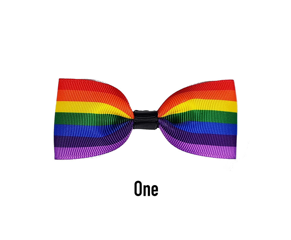 Rainbow Hairbow
