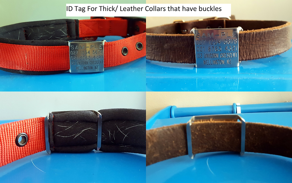 Thumbnail: Double Thick Nylon and Leather CollarTags™
