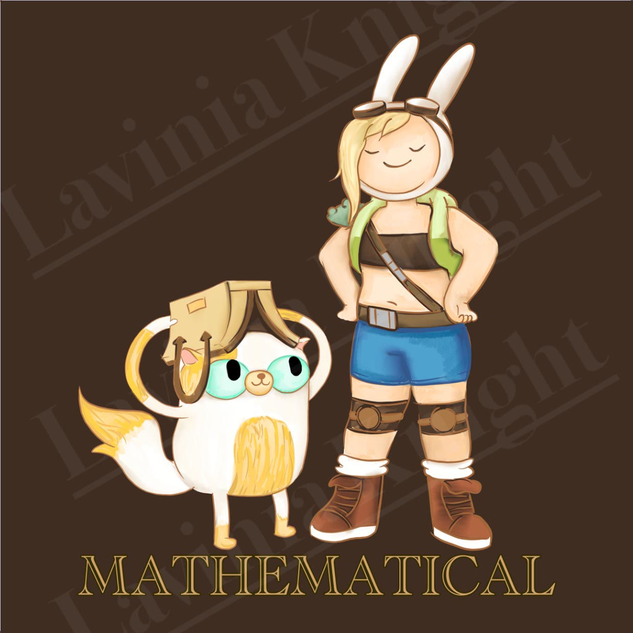 Mathematical Coaster