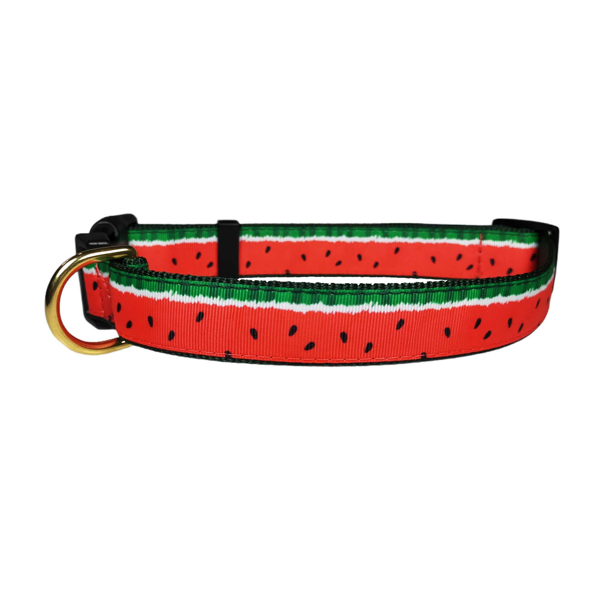 25mm Wide Watermelon Dog Collar